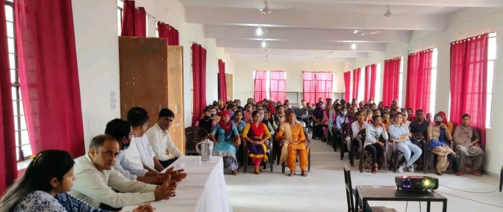 All Gallery